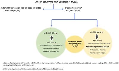Characterizing Diagnostic Inertia in Arterial Hypertension With a <mark class="highlighted">Gender Perspective</mark> in Primary Care